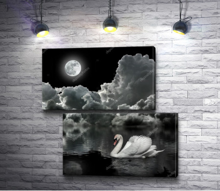 Лебедь на зеркальном озере  под ночной луной, черно-белое фото