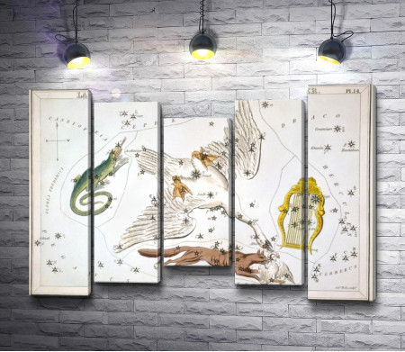 Сидни Холл, "Зеркало Урании - Ящерица, Лебедь, Лира, и Лисичка с Гусем"