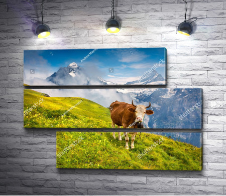 Корова на пастбище на Альпийском лугу 