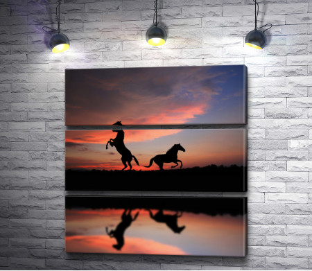 Силуэт двух лошадей у озера во время заката 