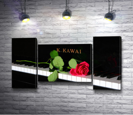 Роза на клавишах пианино 