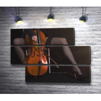Девушка в чулках и виолончель 