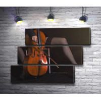 Девушка в чулках и виолончель 