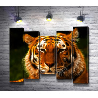 Амурский тигр 3D