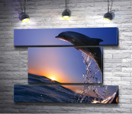 Прыжок дельфина на закате солнца