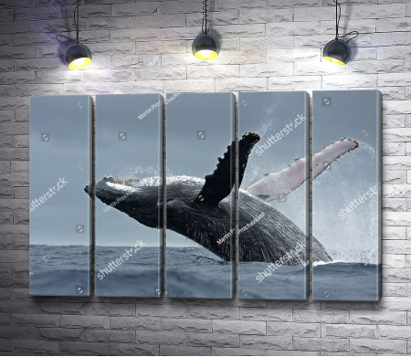 Прыжок кита в океане