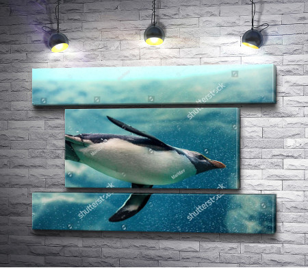 Пингвин под водой 