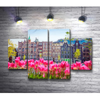 Старые дома на фоне тюльпанов, Амстердам