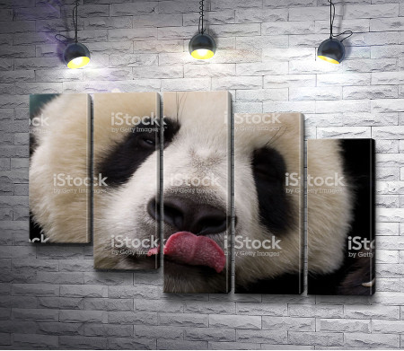 Панда с языком
