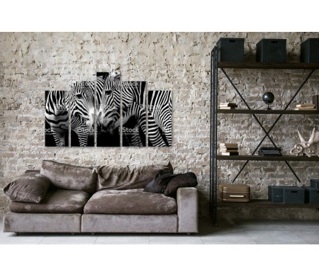 Черно-белые зебры