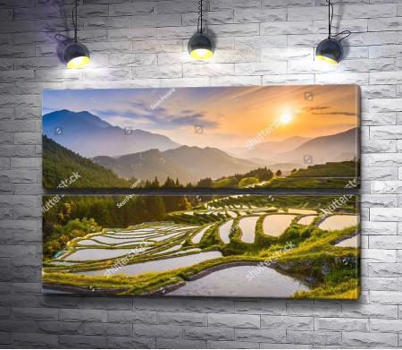 Террасные поля риса в закате, Япония