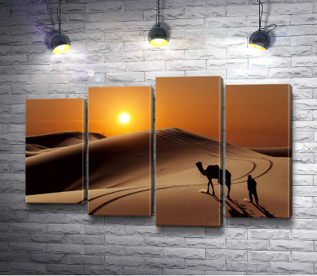 Верблюд в песчаной пустыне