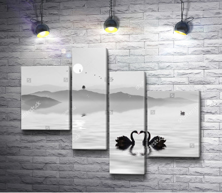 Лебеди на озере, черно-белое фото