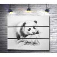 Нарисованная панда