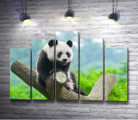 Удивленная панда