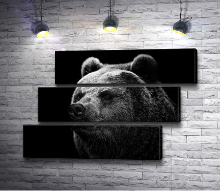 Медведь в черно-белой гамме