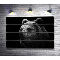 Медведь в черно-белой гамме