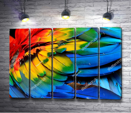 Радужные перья попугая Ара 