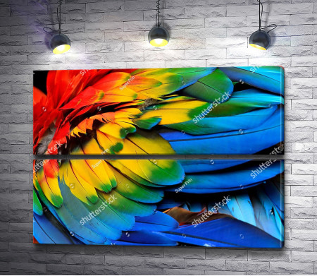 Радужные перья попугая Ара 