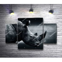 Черно-белое фото носорога 