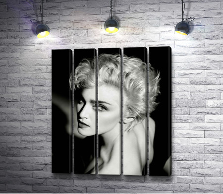 Мадонна, ретро-портрет 