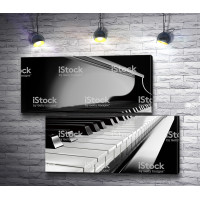 Фортепиано в черно-белой гамме