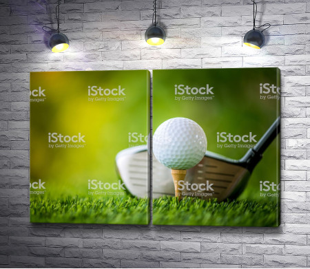 Клюшка и мяч для гольфа 