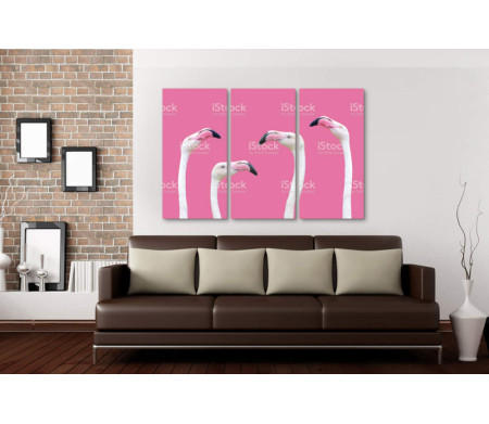 Головы фламинго на розовом фоне 