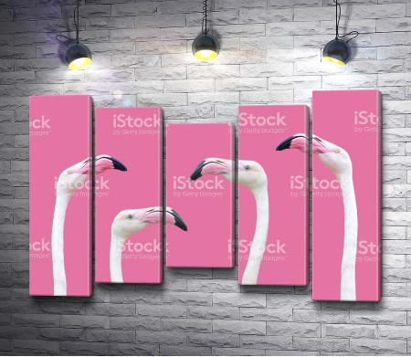 Головы фламинго на розовом фоне 