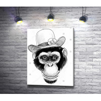 Морда обезьяны в шляпе 