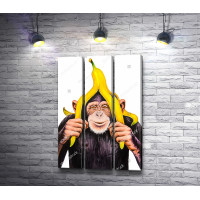 Обезьяна с бананом на голове