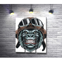 Злая горилла в шлеме с очками