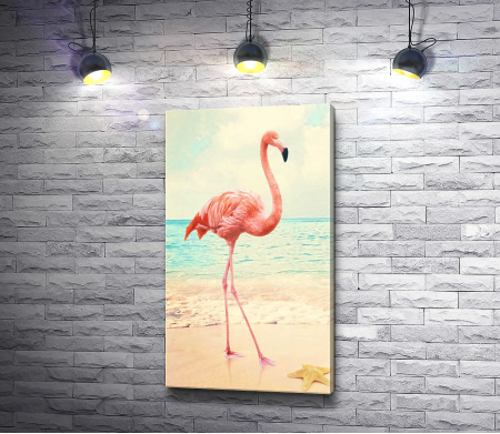 Фламинго на песчаном берегу 