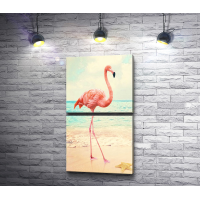 Фламинго на песчаном берегу 