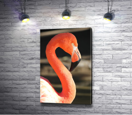 Грациозный розовый фламинго 