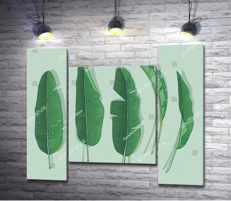 Зеленые листья на пастельном фоне
