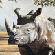 Картини і постери (репродукції) в категорії "Носороги"