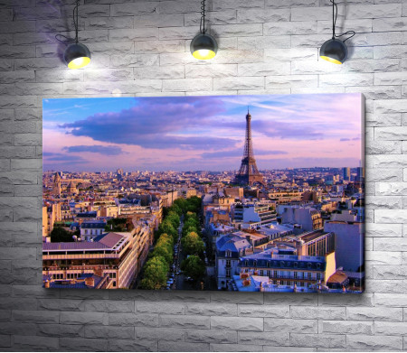 Панорама Парижа. Эйфелева башня