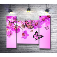 Розовые бабочки и нежные орхидеи