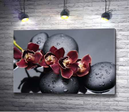 Красная орхидея с дзен-камнями на мокром черном фоне