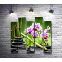 Фиолетовая орхидея, бамбук и камни спа