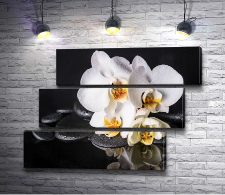 Белая орхидея и камни спа на черном фоне