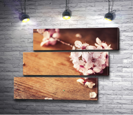 Ветка цветущей сакуры на деревянном столе