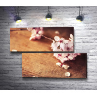Ветка цветущей сакуры на деревянном столе
