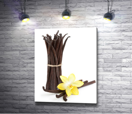 Стручки ванили и желтая орхидея на белом фоне