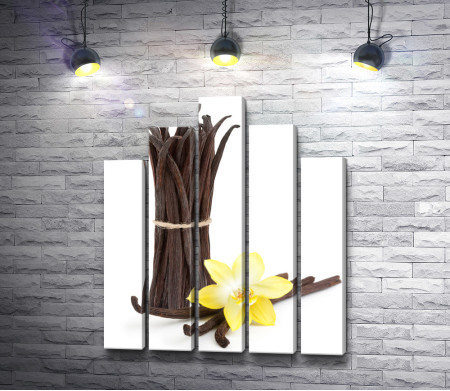 Стручки ванили и желтая орхидея на белом фоне