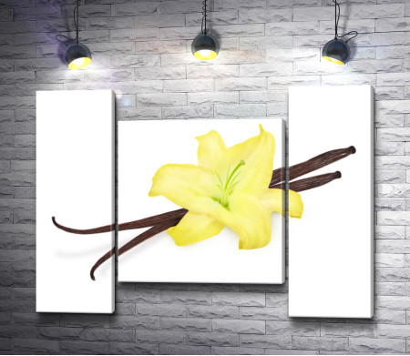 Желтая орхидея и ваниль