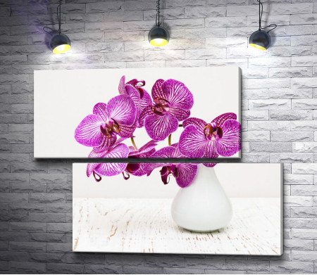 Пурпурные орхидеи в белой вазе
