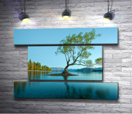 Дерево на зеркальном озере Уанака, Новая Зеландия