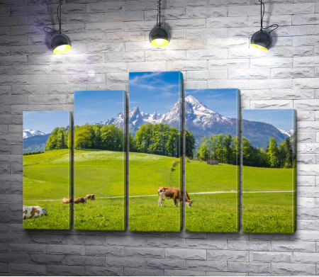 Пасущиеся коровы на лугу в Швейцарских Альпах
